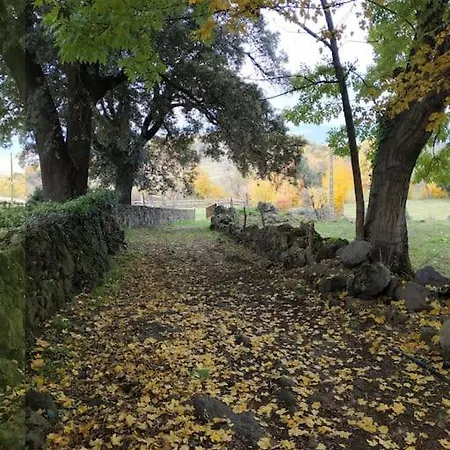 La Cabanya Del Mas Casamitjana * Olot